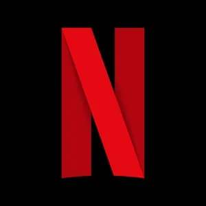 Netflix 1 Month Private Profile