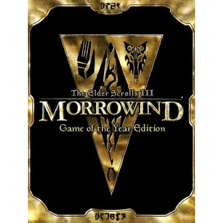 The Elder Scrolls III: Morrowind - Game of the Year Edition Steam Key