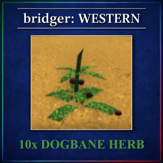 bridger: WESTERN - DOGBANE HERB x10