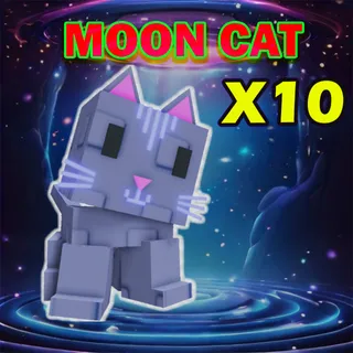 MOON CAT 