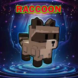 RACCOON