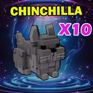 CHINCHILLA