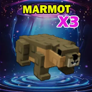 MARMOT