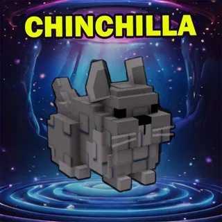 CHINCHILLA