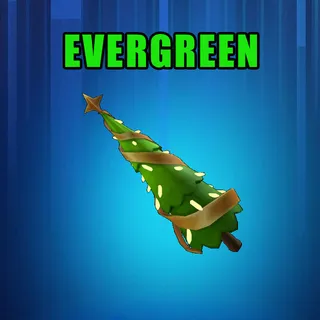 EVERGREEN 