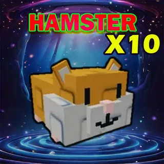 HAMSTER