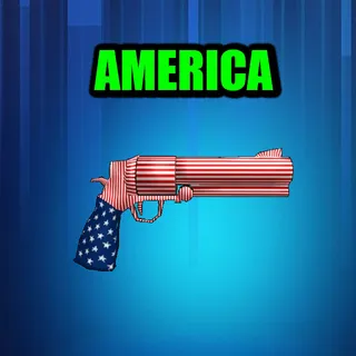 AMERICA