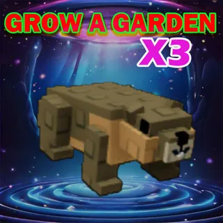 Grow A Garden