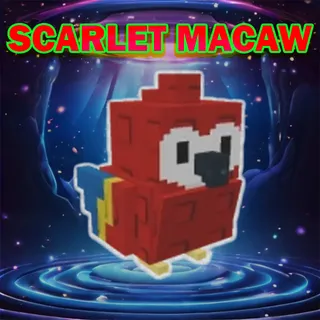 scarlet macaw