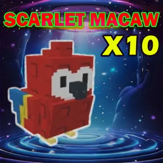 scarlet macaw
