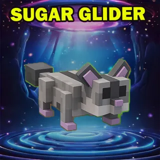 SUGAR GLIDER