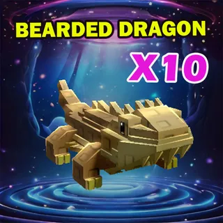 BEARDED DRAGON