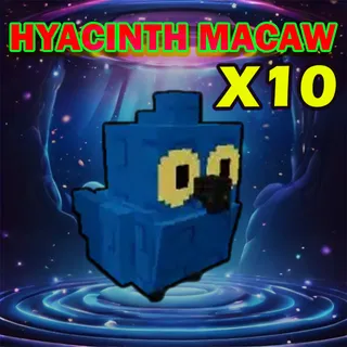 HYACINTH MACAW