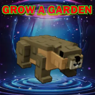Grow A Garden