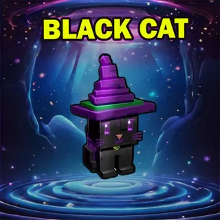 BLACK CAT