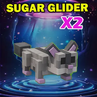 SUGAR GLIDER