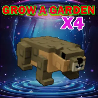 Grow A Garden
