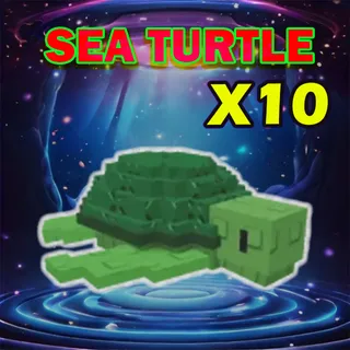 SEA TURTLE