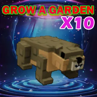 Grow A Garden