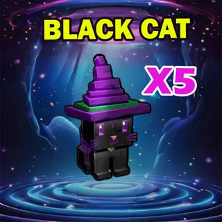 BLACK CAT