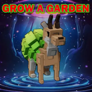 Grow A Garden