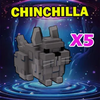 CHINCHILLA