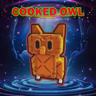 cooked owl