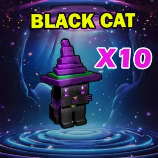 BLACK CAT