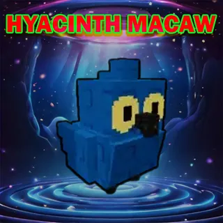 HYACINTH MACAW