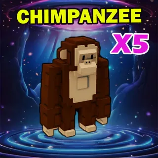CHIMPANZEE