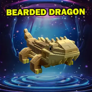 BEARDED DRAGON
