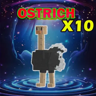 OSTRICH