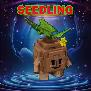 SEEDLING