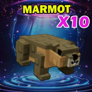 MARMOT