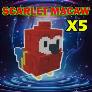 scarlet macaw
