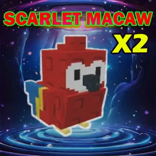scarlet macaw