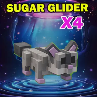 SUGAR GLIDER