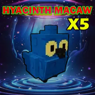 HYACINTH MACAW