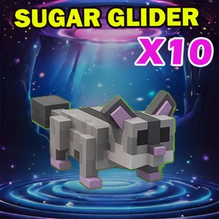 SUGAR GLIDER