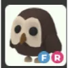 FR Owl