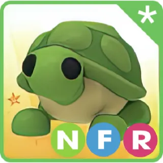 NFR TURTLE