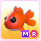 MR Goldfish