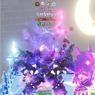 Go up for brainrots