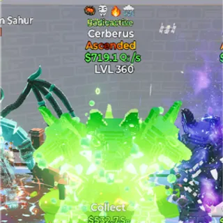 Go up for brainrots