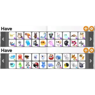 Adopt me account