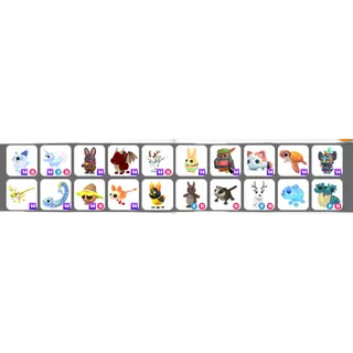 Roblox Account