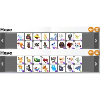 Roblox Account