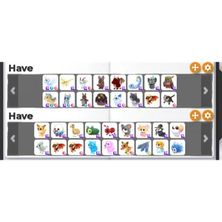 Roblox Account