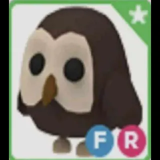 FR Owl