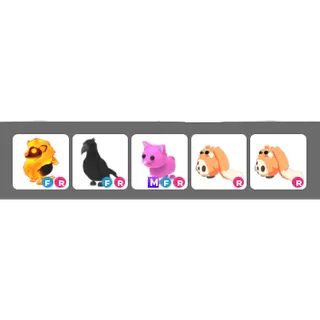5 pets bundle adopt me